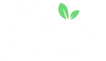 Read our Fruity Casa Casino review