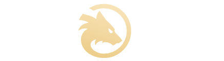 Read our Wolf.io Casino review