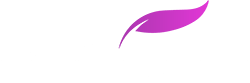 El Royale Casino Review