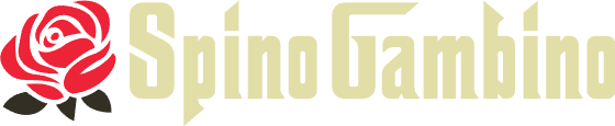 Read our Spinogambino Casino review