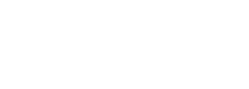Punt Casino Review