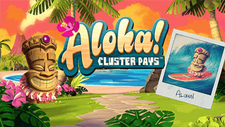 33029New Zealand Free Spins Casinos