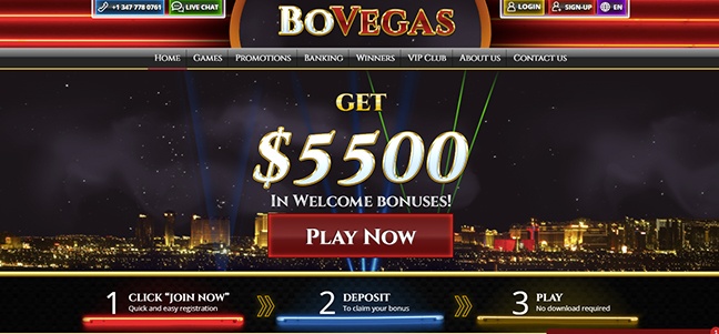 BoVegas Casino – No Deposit Free Spins