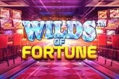 Use Amazing Free Spins Bonus Offers to Wilds of Fortune