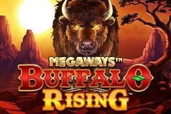Buffalo Rising Megaways Review