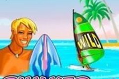 Use Amazing Free Spins Bonus Offers to Summer Bliss