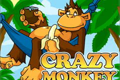 Crazy Monkey Review