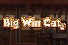 Use Amazing Free Spins Bonus Offers to Big Win Cat