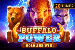 Use Amazing Free Spins Bonus Offers to Buffalo Power: Hold and Win
