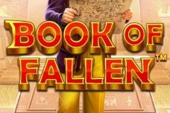 Use Amazing Free Spins Bonus Offers to Book of Fallen