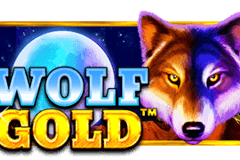 Use Amazing Free Spins Bonus Offers to Wolf Gold