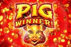 Use Amazing Free Spins Bonus Offers to Pig Winner