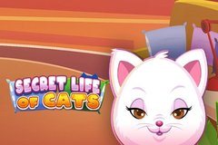 Secret Life of Cats Review