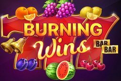 Use Amazing Free Spins Bonus Offers to Burning Wins