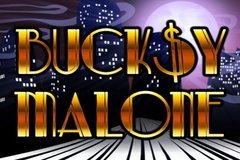 Use Amazing Free Spins Bonus Offers to Bucksy Malone