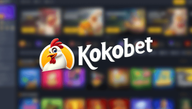 Kokobet afbeelding