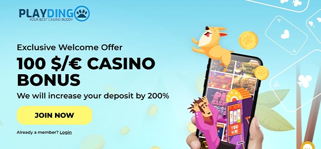 PlayDingo Casino – No Deposit Bonus Offer