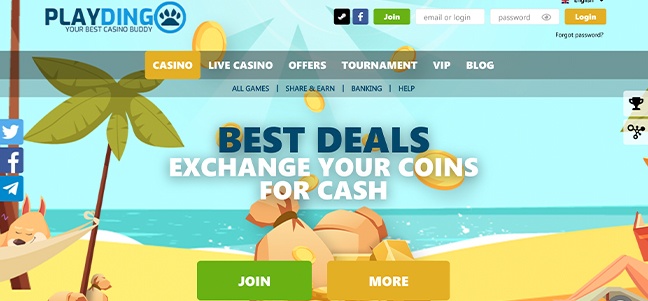 PlayDingo Casino – No Deposit Bonus Offer