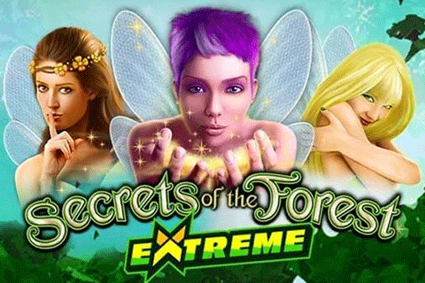 Secrets of the Forest 