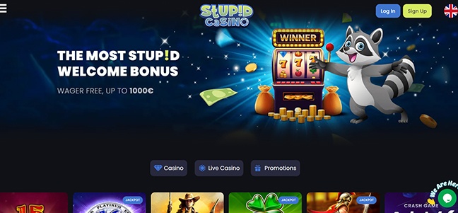 Stupid Casino - No Deposit Bonus